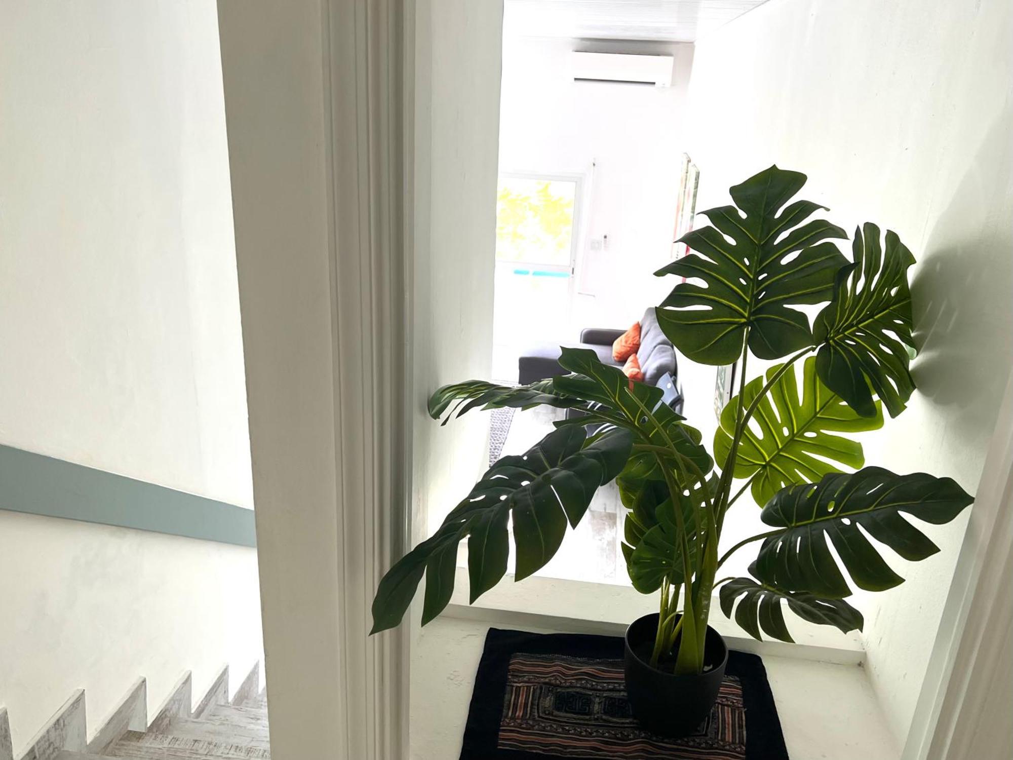 Appartement Neuf En Plein Coeur De Philipsburg Philipsburg  Zewnętrze zdjęcie